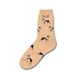 Boston Terrier Poses Socks
