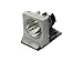 Electronics : Optoma  BL-FP200C Replacement Lamp for HD70 Home Theater Projector