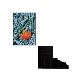 Itoya 5x7 Art Profolio ImagEnvelope, Poly-Glass Storage Envelope with Board.