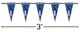 Orlando Magic Pennant String (3 foot)