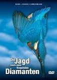 Produkt-Bild: Die Jagd nach dem fliegenden Diamanten - Faszination Eisvogel