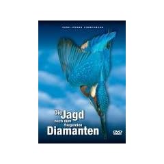 Die Jagd nach dem fliegenden Diamanten - Faszination Eisvogel