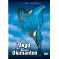 Die Jagd nach dem fliegenden Diamanten - Faszination Eisvogel