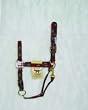 Hamilton SOUTHWEST Deluxe 1" Nylon Horse Halter with Adjustable Chin and Snap, Red, Large (800-1100 lbs)