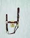 Hamilton SOUTHWEST Deluxe 1" Nylon Horse Halter with Adjustable Chin and Snap, Red, Large (800-1100 lbs)