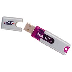 Pny P-Fd04Gu20-Rf Attache Portable Usb 2.0 Flash Drive (4 Gb)