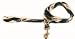 PHILADELPHIA EAGLES NFL Dog Pet LEAD LEASH 6 FT. Medium