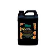 Premier Marigold Spray