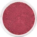 Studio Mineral Makeup Pomegranate Superior Pigment Eyeshadow