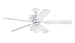Westinghouse #78096 52" Veran Out Ceiling Fan