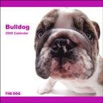 Bulldog 2009 Wall Calendar