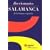 Diccionario Salamanca De La Lengua Espanola (Dictionary)