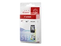 Toner Color Cartridge (CL-513)