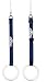 Sporting Goods : AAI Fixed Lexan / Spring Loaded Swivel Ceiling Rings