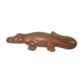 Sally Chocolate Alligator