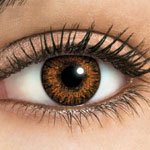 FresHLook Contact Lenses [Honey 3-tone]
