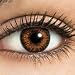FresHLook Contact Lenses [Honey 3-tone]
