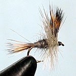 Wulff's Color: Gray - #14
