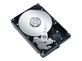 160GB SATA Seagate Additional Hard Drive for ANTOnline/Supermicro Server