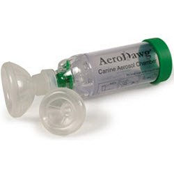 ciprofloxacin for continual bronchitis is bronchitis very contagious