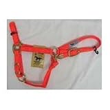Hamilton Halter Company Adj Chain Halter With Snap Orange Average - 1Das Avor