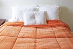 College Plush Comforter - Orange