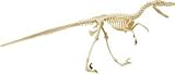 Elenco Skin 'n Bones Velociraptor