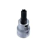 SEK(スエカゲ) Pro-Autoスペシャルビットソケット(いじり止め穴付き)(差込角9.5mm・サイズT55) 133SB55