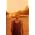 Thumbnail image of Washed Out