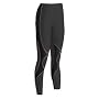 CW-X Women's Insulator Expert Tights