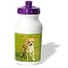 chihuahua22 - Dogs Chihuahua Chihuahua Water Bottles