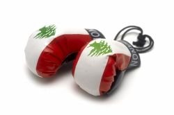 Mini Boxing Gloves