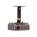 Electronics : Ceiling Mount for TDP-D1-US ANDTDP-D2-US Projectors