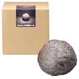 z~VXӃ{[ yƒłł郉WEz