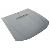 Hood 99-04 Ford Mustang Base Gt with Scoop Holes 99 00 01 02 03 04 1999 2000 2001 2002 2003 2004 w/ Scoop Hole