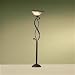 High Country Collection Torchiere Style Floor Lamp