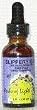 Slippery Elm - 1 oz - Liquid