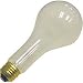 Westcott #550 500 watt Photoflood Light