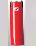 ウイニング Winning ソフトバック 31kg GT-9900の画像