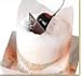 Cherry Mousse Cake in Cellophane wrap with ribbon