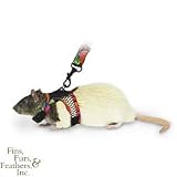 Pet Supplies : Comfort Harness Stretchy Leash - Small