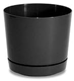 UPC 038766170071 product image for Dynamic Design SD0612BK 6-Inch Black Hi-Gloss Finish Planter Full Depth | upcitemdb.com