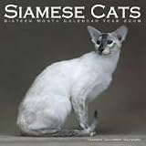 2008 SIAMESE CATS 16 MONTH PINUP WALL CALENDAR