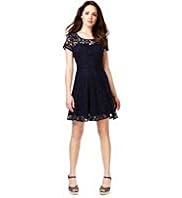 Petite Lace Skater Dress