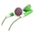 Free Postage: Ipod Green Headphones With 3.5Mm Mini-Plug & Bonus Earphone Wrap