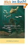 Wonderful Life: The Burgess Shale and...