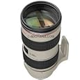 Canon EF 70-200mm f/2.8L IS USM Telephoto Zoom Lens for Canon SLR Cameras