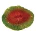 DESIGN ELEMENTS DISC CORAL AQUARIUM ORNAMENT, Size: 4.3X4.1X1.2 (Catalog Category: Aquatics:DECORATIONS)