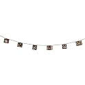 Songbird String Lights