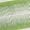 Green Mix